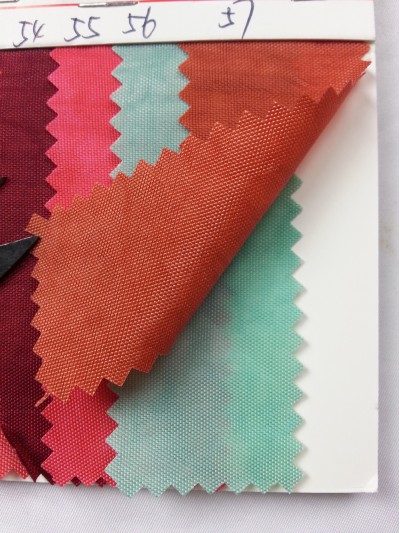 DG-BICG BC-420D 洗水尼龍布  背囊面料 45度照